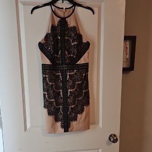 bebe Black and Tan Lace Mini Dress